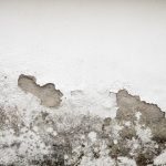 Budowa domu z betonu komórkowego – zalety tego rozwiązania i zasady konstrukcyjne
