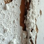 Biały nalot na ścianie w starym domu: przyczyny zawilgocenia, wykwitów solnych i grzyba oraz jak je rozróżnić i zapobiegać
