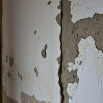Pleśń i grzyb w starym domu: jak rozpoznać przyczyny i skutecznie zapobiegać zawilgoceniu